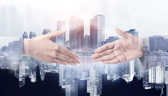 青島喊出 學(xué)深圳 趕深圳 后,這個區(qū)市要引進100個大項目