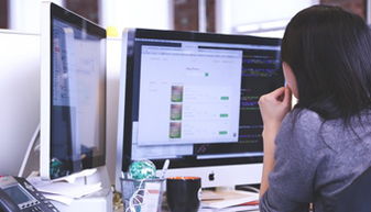 2016英文商城 商城特惠套餐 品拓互聯