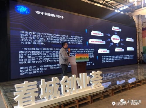 春城創業薈 網絡投票結束 超53萬人次為優秀項目點贊