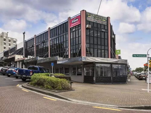 博宇佳業 塔卡普納CBD黃金商用物業，坐擁核心地段，投資開發雙重價值